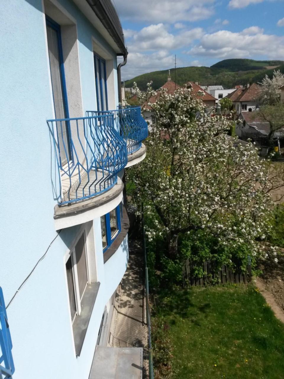 Pension Magnolia Trenčín Esterno foto